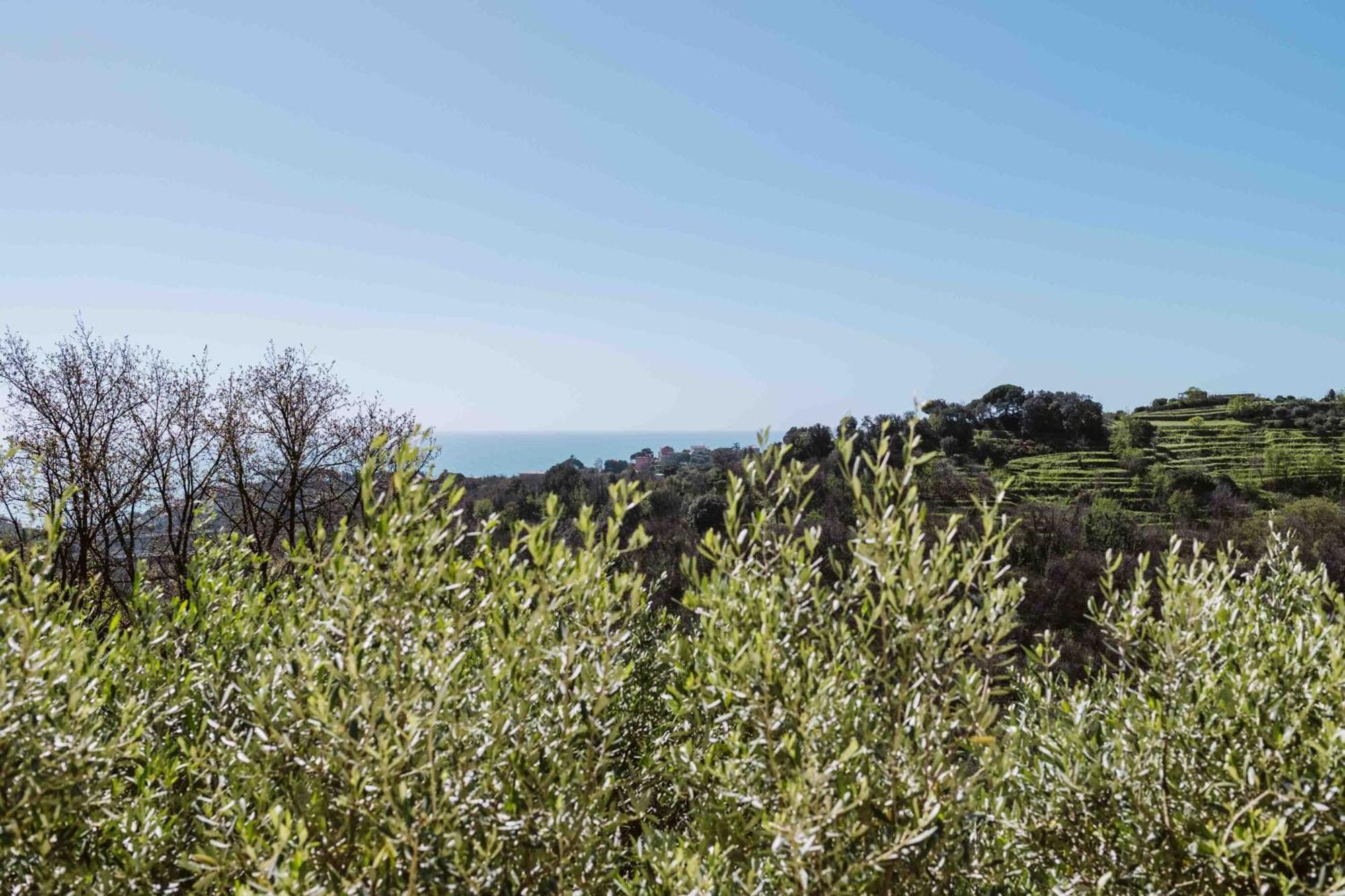 Abc Affittacamere Celle Ligure Εξωτερικό φωτογραφία